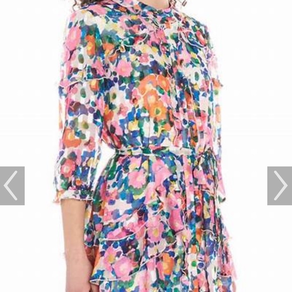 SALONI Dresses & Skirts - Saloni dress